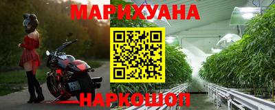 прущие крисы Гагарин