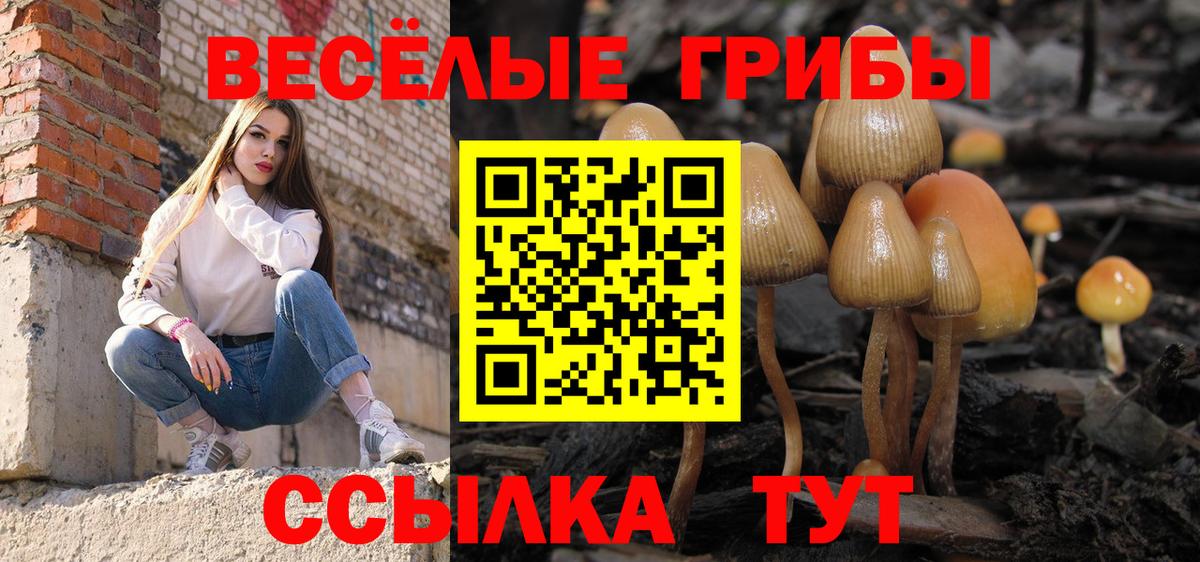 Галлюциногенные грибы Cubensis Гудермес