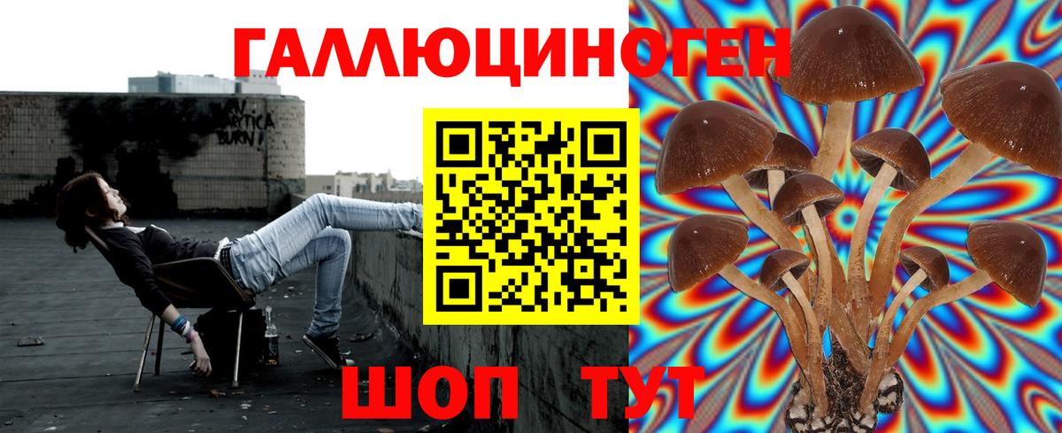 даркнет сайт  Псилоцибиновые грибы Cubensis  Вход с VPN  Гудермес 